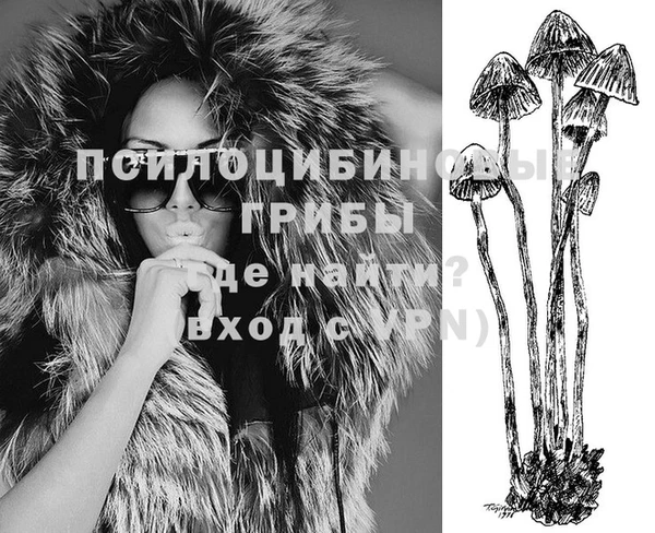 эйфоретик Сатка