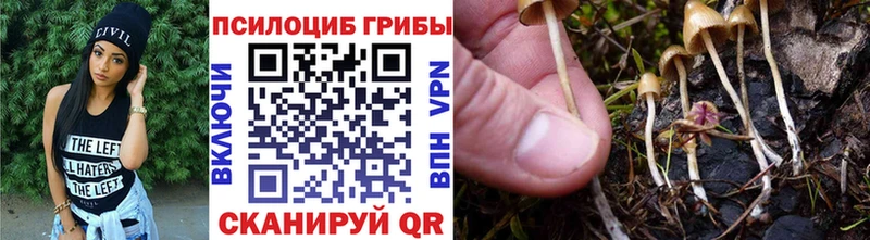Галлюциногенные грибы Psilocybe  Болохово 